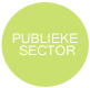 Publieke Sector